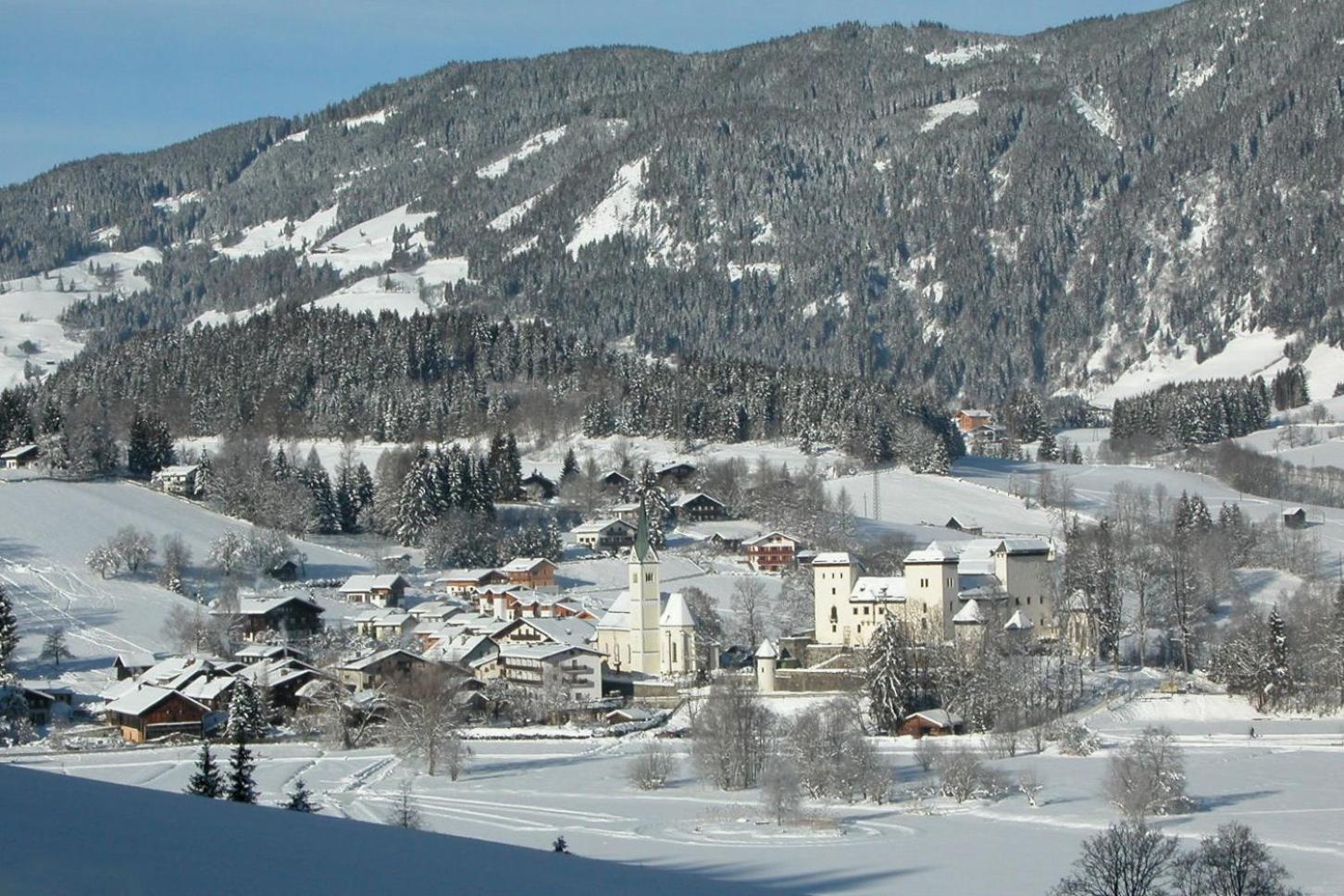 Bio-Bauernhof Reitmayrgut Гольдег Экстерьер фото